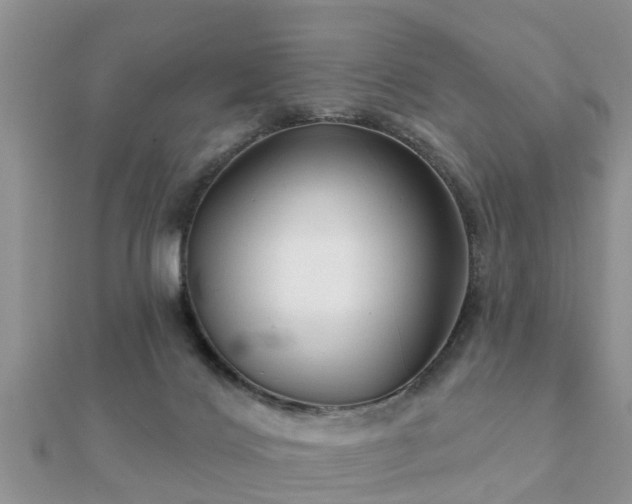 X0000112060028200908111421