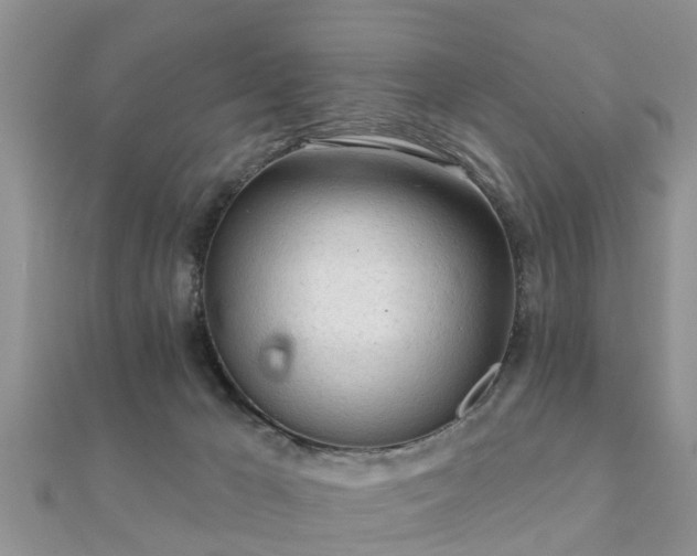 X0000112060029200908111421