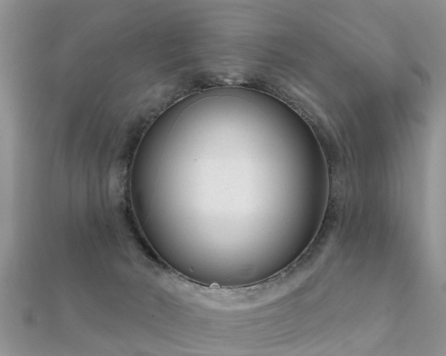 X0000112060030200908111421