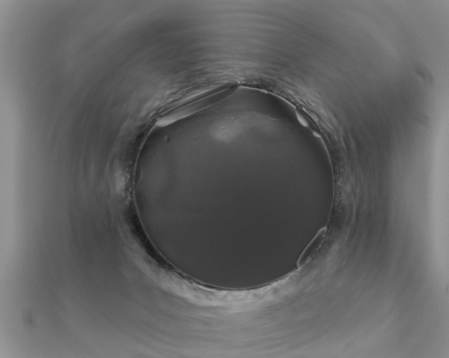 X0000112060031200908111421