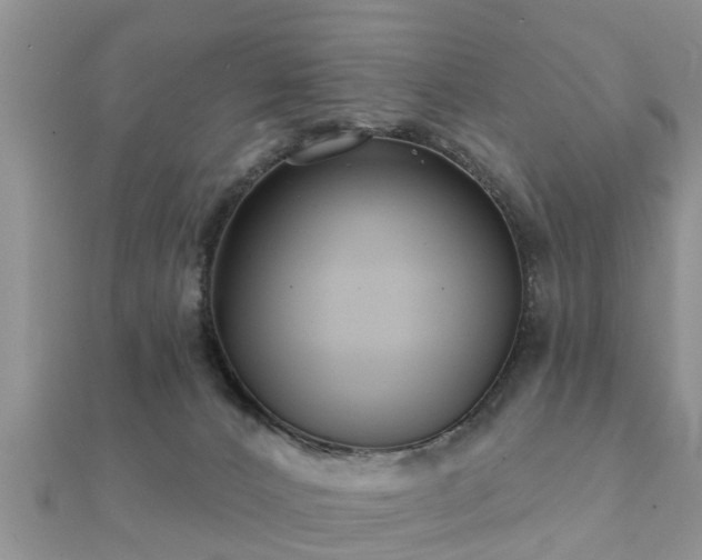 X0000112060032200908111421