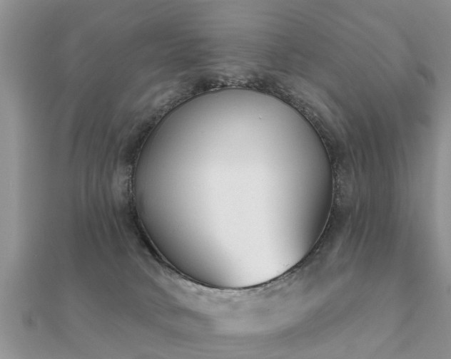 X0000112060034200908111421