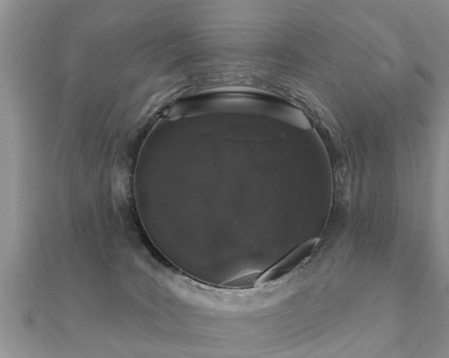 X0000112060035200908111421