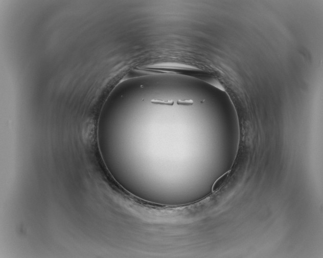 X0000112060036200908111421