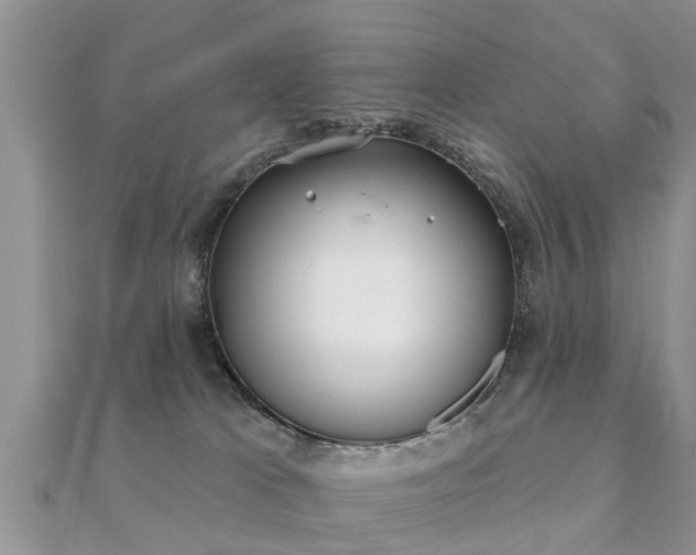 X0000112060037200908111421