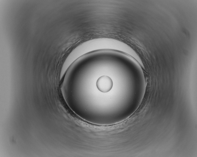 X0000112060039200908111421