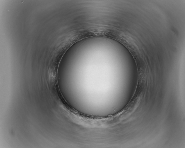 X0000112060040200908111421