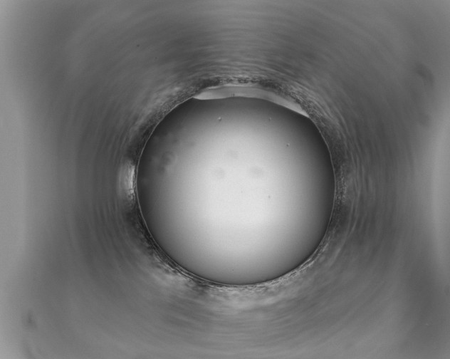 X0000112060041200908111421