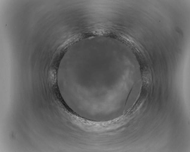 X0000112060043200908111421