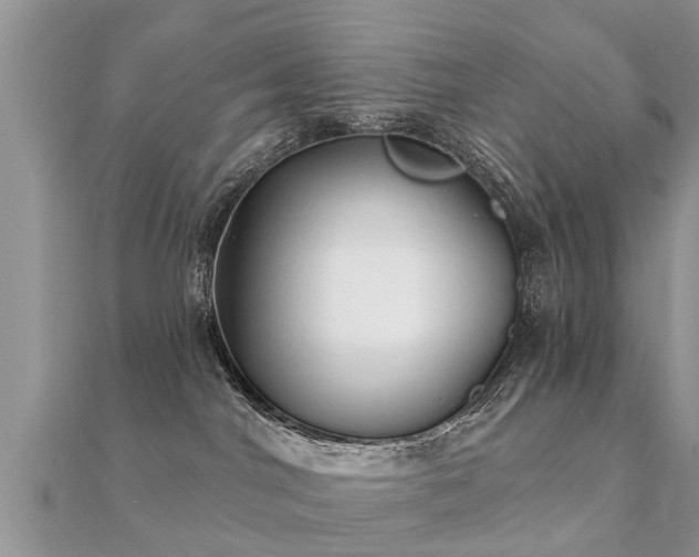 X0000112060044200908111421