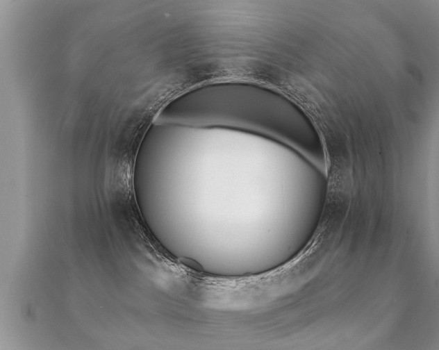 X0000112060045200908111421