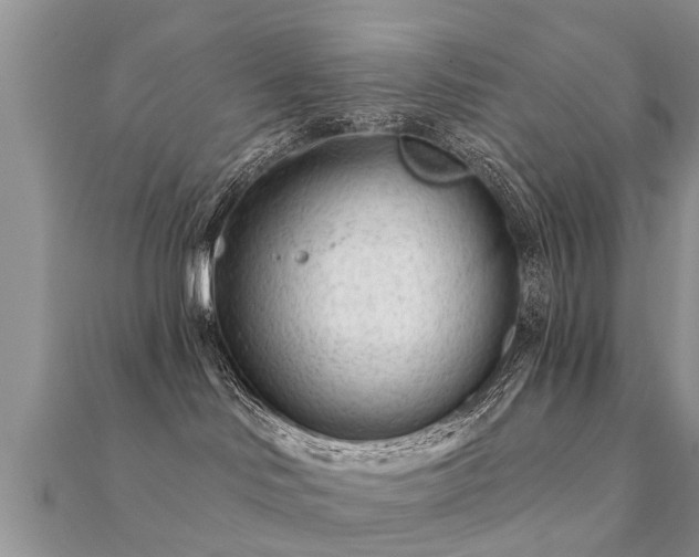 X0000112060046200908111421