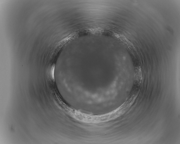 X0000112060047200908111421