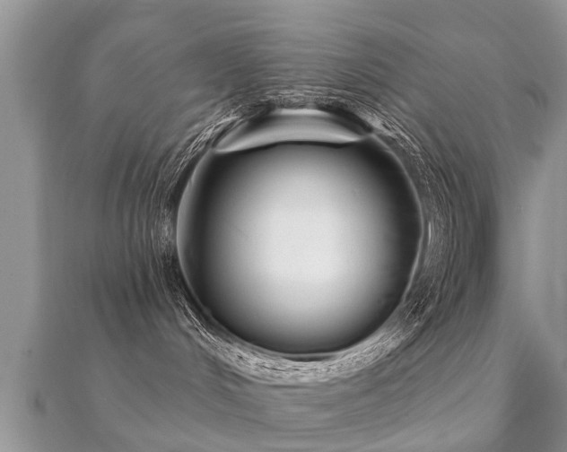 X0000112060048200908111421