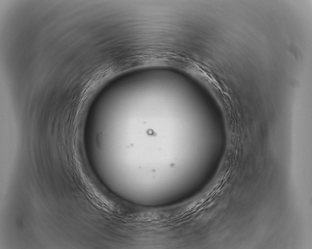 X0000112060049200908111420