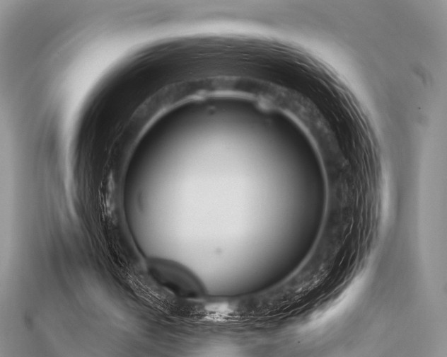 X0000112060050200908111420