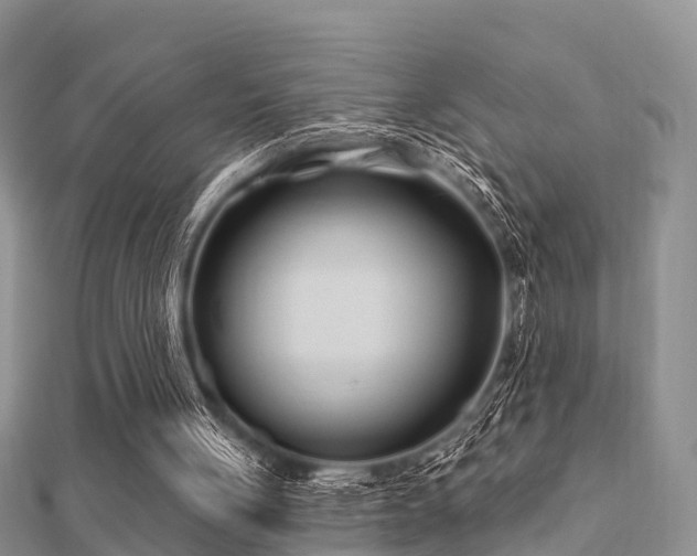 X0000112060051200908111420