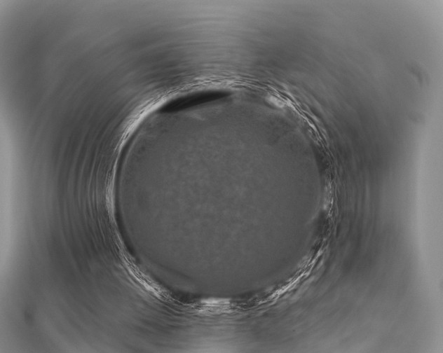 X0000112060052200908111420