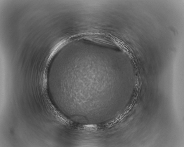 X0000112060053200908111420