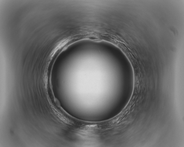 X0000112060054200908111420