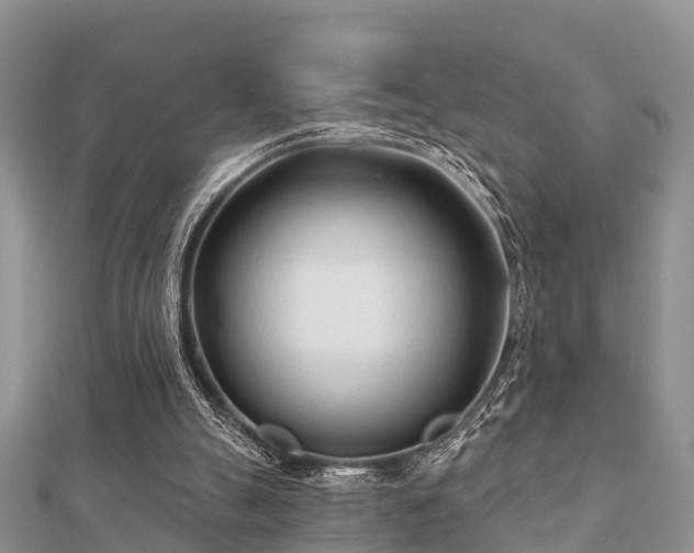 X0000112060055200908111420