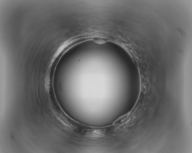 X0000112060056200908111420