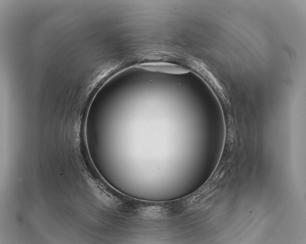 X0000112060058200908111420