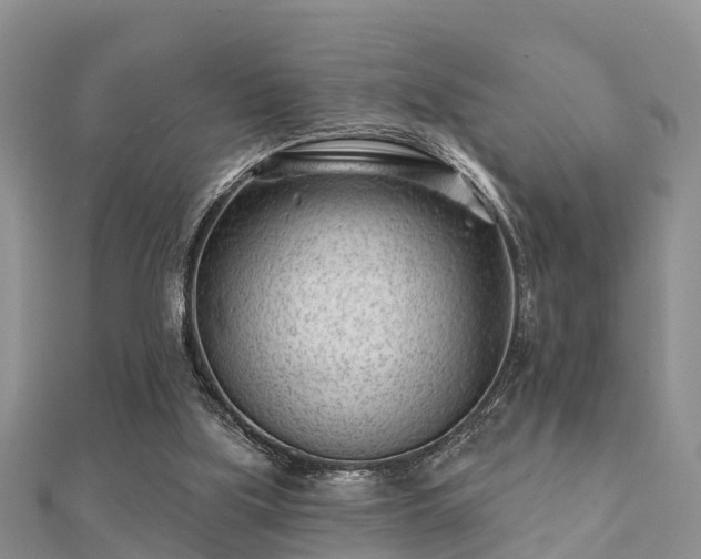 X0000112060059200908111420