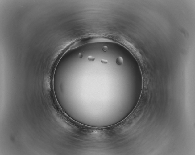 X0000112060060200908111420