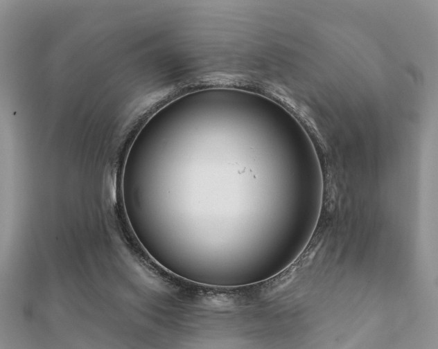 X0000112060062200908111420