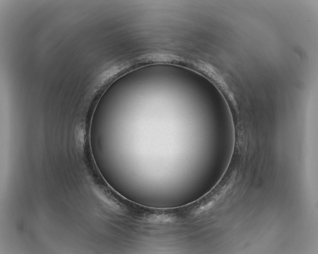 X0000112060063200908111420