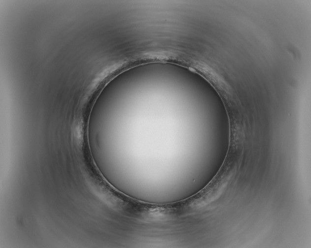 X0000112060064200908111420