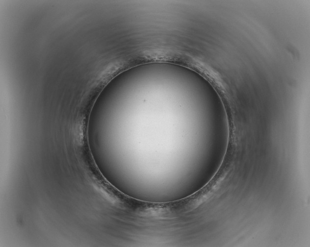 X0000112060065200908111420