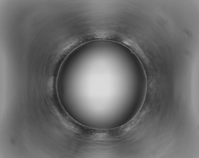 X0000112060066200908111420