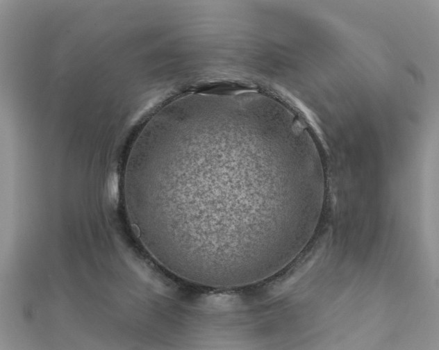 X0000112060067200908111420