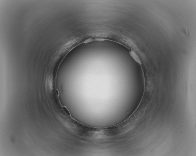 X0000112060068200908111420