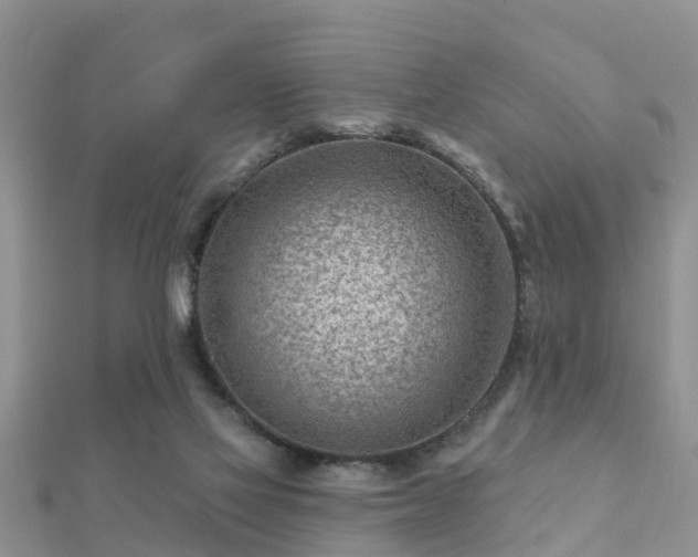 X0000112060069200908111420