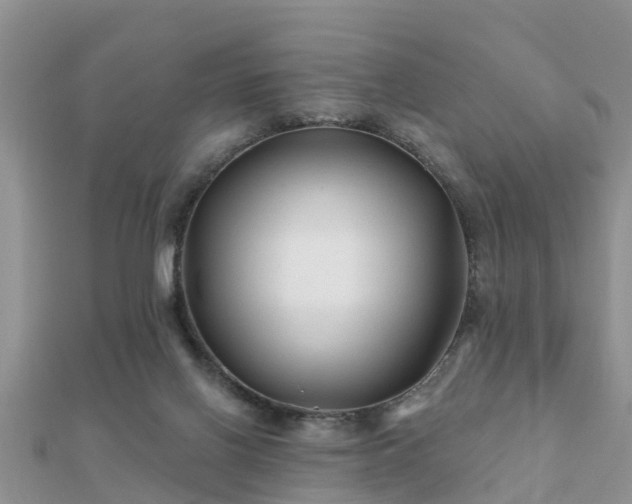 X0000112060070200908111420