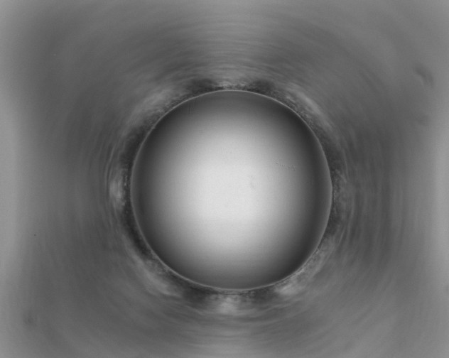 X0000112060074200908111420