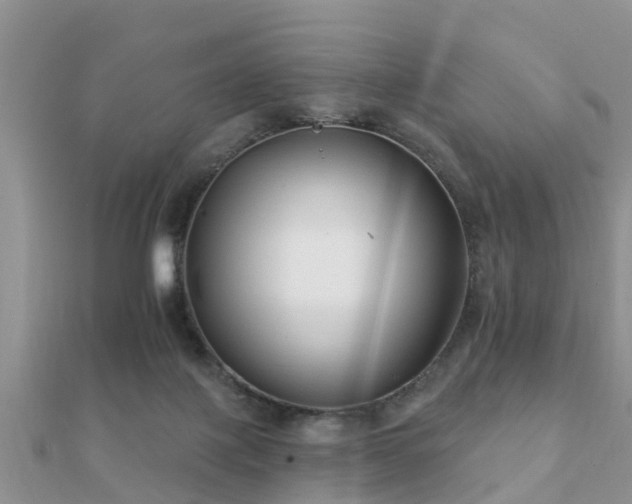 X0000112060075200908111420