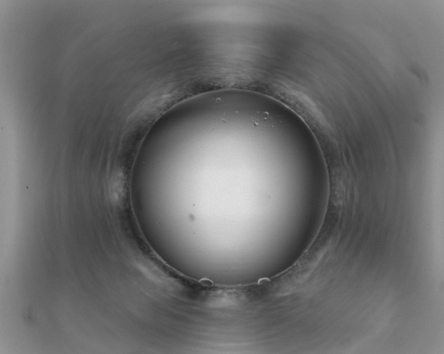 X0000112060077200908111420