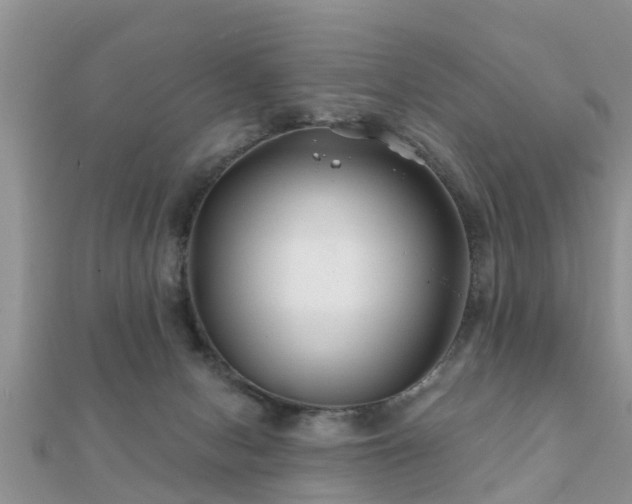 X0000112060078200908111420