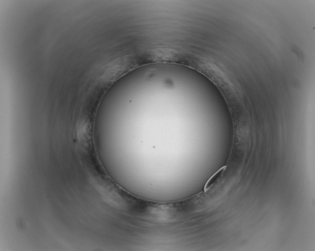 X0000112060079200908111420