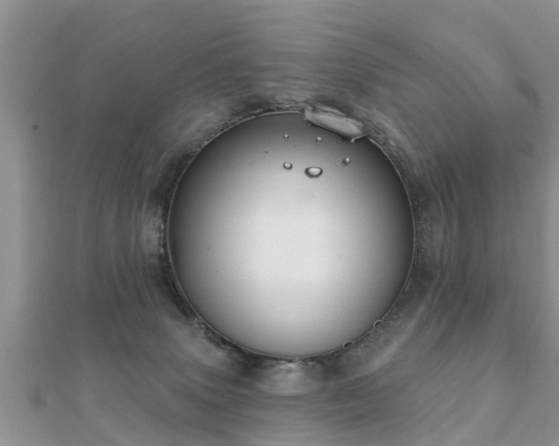 X0000112060083200908111420