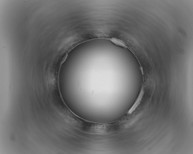 X0000112060084200908111420