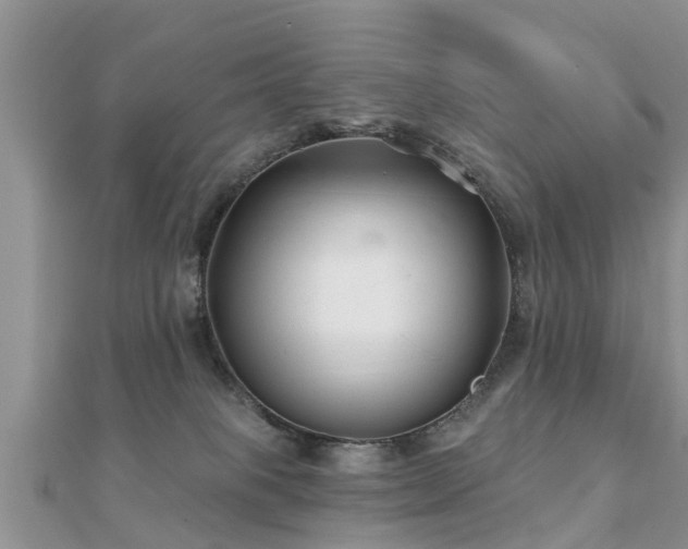 X0000112060085200908111420