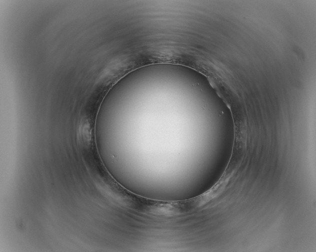 X0000112060086200908111420