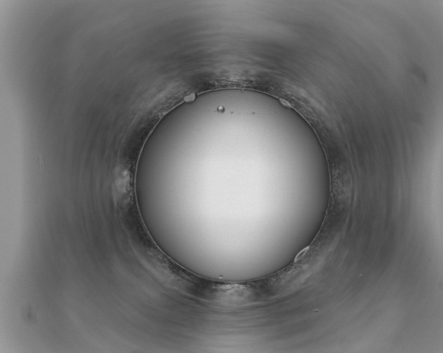 X0000112060087200908111420