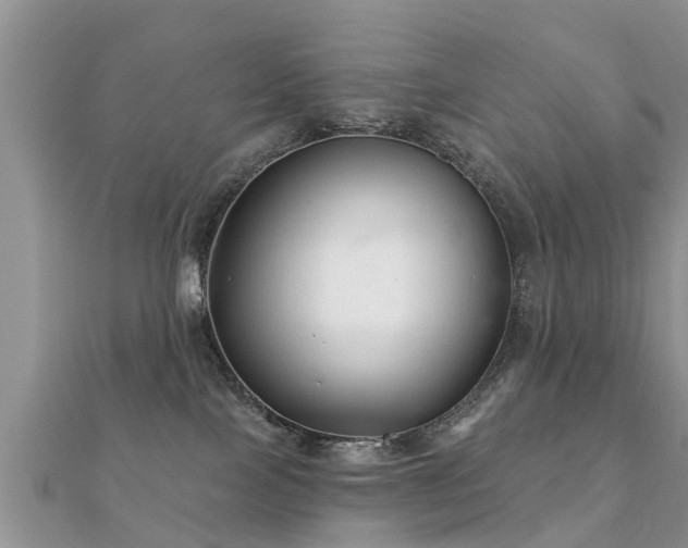 X0000112060089200908111420