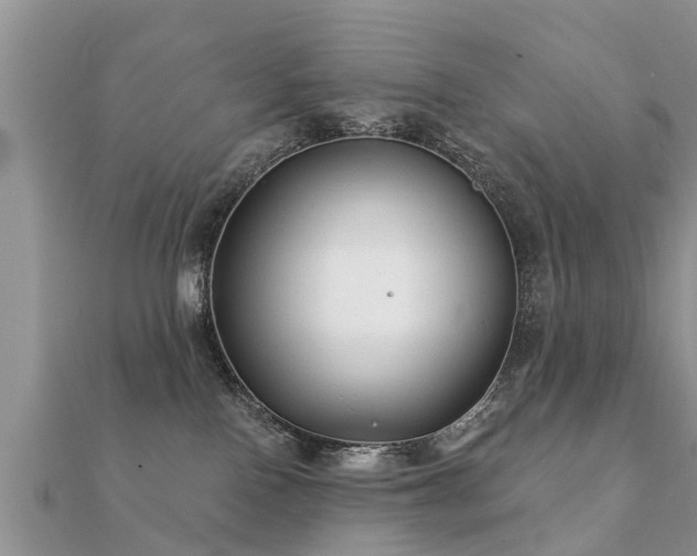 X0000112060090200908111421